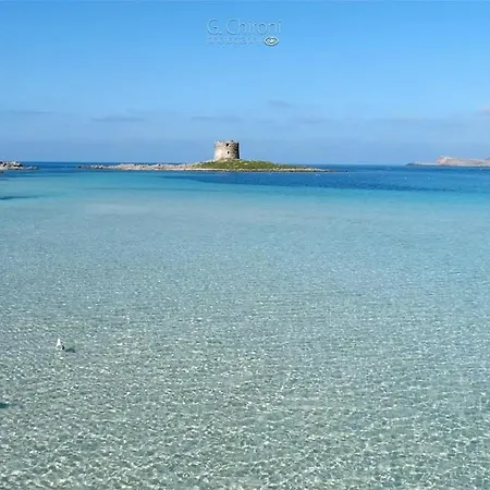 Rosaspe Stintino Cuile Ezi Mannu